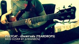 POLYCAT  เป็นเพราะฝน TEARDROPS BASS COVER [upl. by Dawkins]