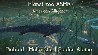 Planet Zoo ASMR  American Alligator [upl. by Bigelow149]