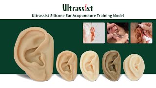 Ear Acupuncture Training  Start with Realistic Silicone Ear Model [upl. by Adihaj638]