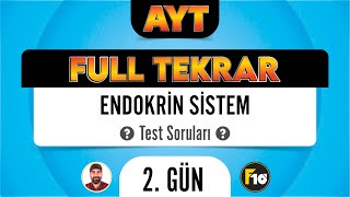 Endokrin Sistem Test Soruları AYT Full Tekrar Biyoloji F10 Serisi [upl. by Holcman391]