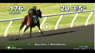 BUCCHERO  2022 April OBS Breeze Show  All 10 breezes [upl. by Lais]