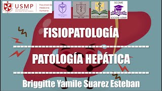 Patología Hepática  Fisiopatología  Briggitte Suarez  2610 [upl. by Bianchi171]