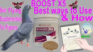 Boost X5 Different ways to useInformationTips Best For Pigeons Recovery After During Highflying [upl. by Mello]