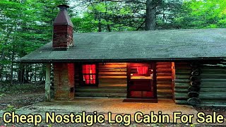 Michigan Lakefront Cabin For Sale  125k  Log Cabins In The woods  Michigan Waterfront Cabins [upl. by Adiarf]