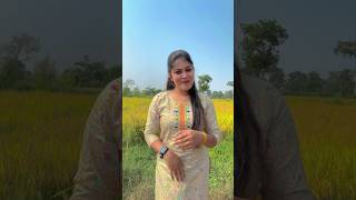 Kaha jawat hat Gori vo lakar Dhakar Lakhar Dhakar ♥️💸✨cgsong cgtrendingsong shortvideo [upl. by Garaway]