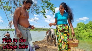 How To Make Delicious Fish Curry in the village system cooking food recipe [upl. by Mcgregor]