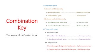 Combination Key [upl. by Yelsnia]