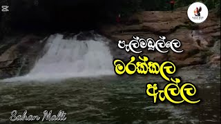 පැල්මඩුල්ලෙ මරක්කල ඇල්ල  pelmadulle marakkala alla  Sahan Malli  සහන් මල්ලි vlog srilanka [upl. by Fairbanks]