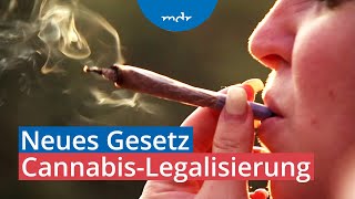 CannabisLegalisierung Justiz müsste alte Strafverfahren aufrollen  MDR THÜRINGEN JOURNAL  MDR [upl. by Ardnauqal]