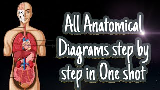 All Anatomical Diagrams step by step in One shotparamedical RPMC Guruvidhya [upl. by Adlig824]