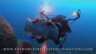 THE WORLDS BEST DIVE DESTINATIONS [upl. by Archaimbaud902]