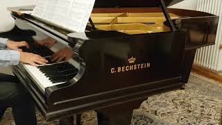 Bechstein IV vs Bösendorfer 200 Liebestraum Liszt [upl. by Annabela]