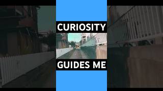 Curiosity Guides Me [upl. by Lseil]