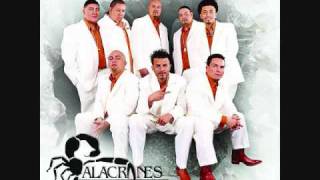 Alacranes MusicalPor Amarte Asi [upl. by Krum848]