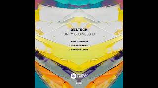 Deltech  Funky Business Original Mix UNDER NO ILLUSION [upl. by Reena]