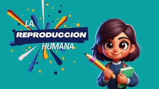 La Reproducción Humana Explicada para Niños  Aprende Cómo Nacemos [upl. by Etireuqram]