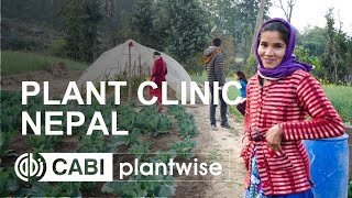 Plantwise plant clinic  Nepal [upl. by Kary58]