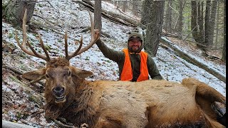 2021 Montana Elk Hunt  Backcountry Connection [upl. by Cantlon]