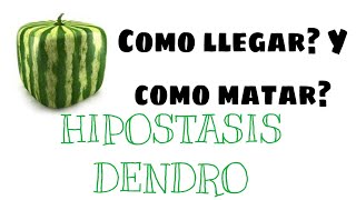 Como llegar y como matar al hipostasis dendro  Genshin Impact 32 [upl. by Carolina126]