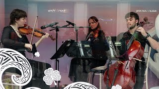 Amazing Brown Thomas Window Display Comes To Life With Members of The Trinity College Orchestra [upl. by Creamer]