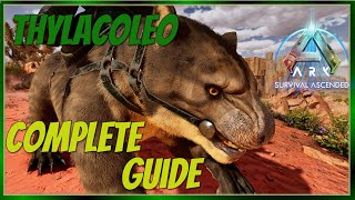 Thylacoleo Complete Guide  Ark Survival Ascended [upl. by Yelekalb]