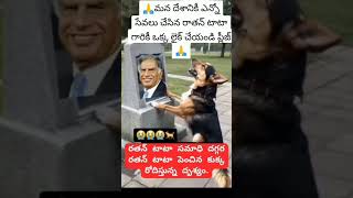 Miss you Ratan Tata sirdog Emotional viral short [upl. by Sucul]