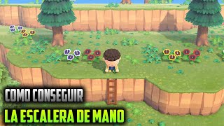 ANIMAL CROSSING NEW HORIZONS  COMO CONSEGUIR LA ESCALERA DE MANO [upl. by Wappes]