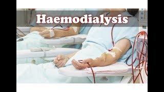 Human Body  Haemodialysis Process animation [upl. by Harp111]