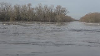 Piena del Po a Cremona gli effetti sulla fauna [upl. by Yssim]