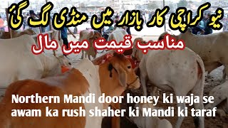 New Karachi Mandi Updates 2024 [upl. by Leinahtan920]