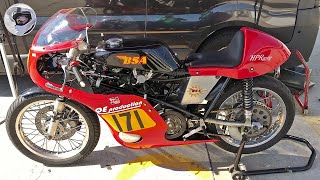 BSA 500 Gold Star engine in Seeley Mk4 frame  excellent club racer classic motorcycle racing [upl. by Meill]