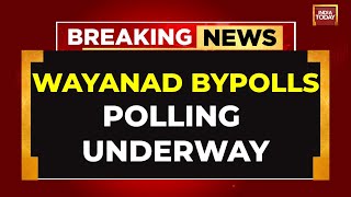 Wayanad Bypolls LIVE Polling Underway In Wayanad As Priyanka Gandhi Seeks A Successful Poll Debut [upl. by Raab]