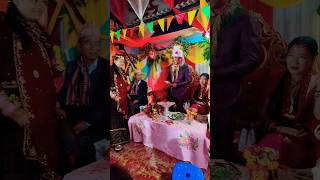 Vena vs sali wedding funnyshorts nepaliculture [upl. by Naneik]