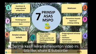 MSPO memperkasa industri sawit Malaysia [upl. by Yelha]