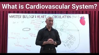 What is Cardiovascular System  Circulatory System  Biology  NEET  GCSE [upl. by Yrret]