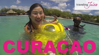 CURACAO Things to Do in Curacao [upl. by Sherl]