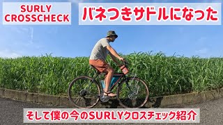 【SURLYカスタム】僕のSURLY。バネつきサドルになったのだ！！そして現在の姿を紹介！ [upl. by Ayatahs240]