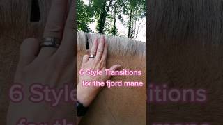 HOW TO TRIM A FJORD HORSE MANE 6 TRANSITIONAL STYLES  A SHORTS COMPILATION [upl. by Leunamme]