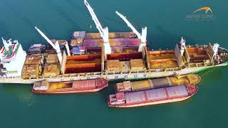 MV CHIPOLBROK STAR DISCHARGING CARGO AT HON GAI ANCHORAGE [upl. by Bolton363]