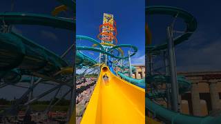 TALLEST waterslide in America WaterparkCapital shorts [upl. by Leith]