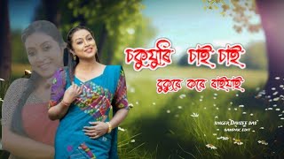 sokujuri sai sai  Daiizee das gitartha girin palash gogoi  new Assamese song  sampak [upl. by Wylie520]