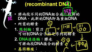 10701高二基礎生物ch4 4 02重組DNA二數 [upl. by Neddy]