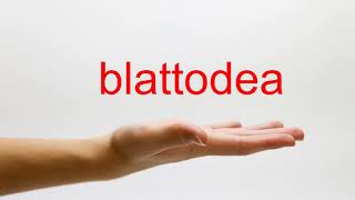 How to Pronounce blattodea  American English [upl. by Goeger772]