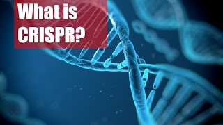 CRISPR Monster or Miracle [upl. by Elli]