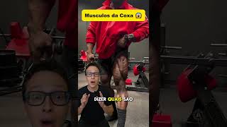 Músculos da Coxa 😱medicina medico academia treino musculação musculacao anatomia enfermagem [upl. by Nazar530]