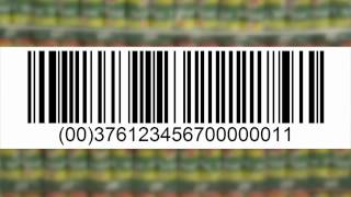 Use of the Serial Shipping Container Code SSCC in the retail sector [upl. by Marge]