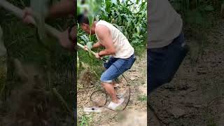 Electric spadework in field funny video 🤣🤣 funny viralvideo short shorts viralshort [upl. by Webber281]