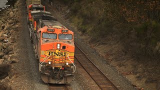 BNSF Warbonnet and Six Trains  Trains At Carkeek Park [upl. by Valerio835]