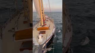 NARWHAL Cherubini 48 Schooner [upl. by Neill]