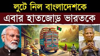 বাংলাদেশ লুট হয়ে পুরোপুরি বরবাদ  Bangladesh Approves 50000Ton Rice Import Deal with India [upl. by Aranat820]